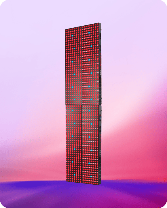 2x-biomax-pro-grande-+-grande_1